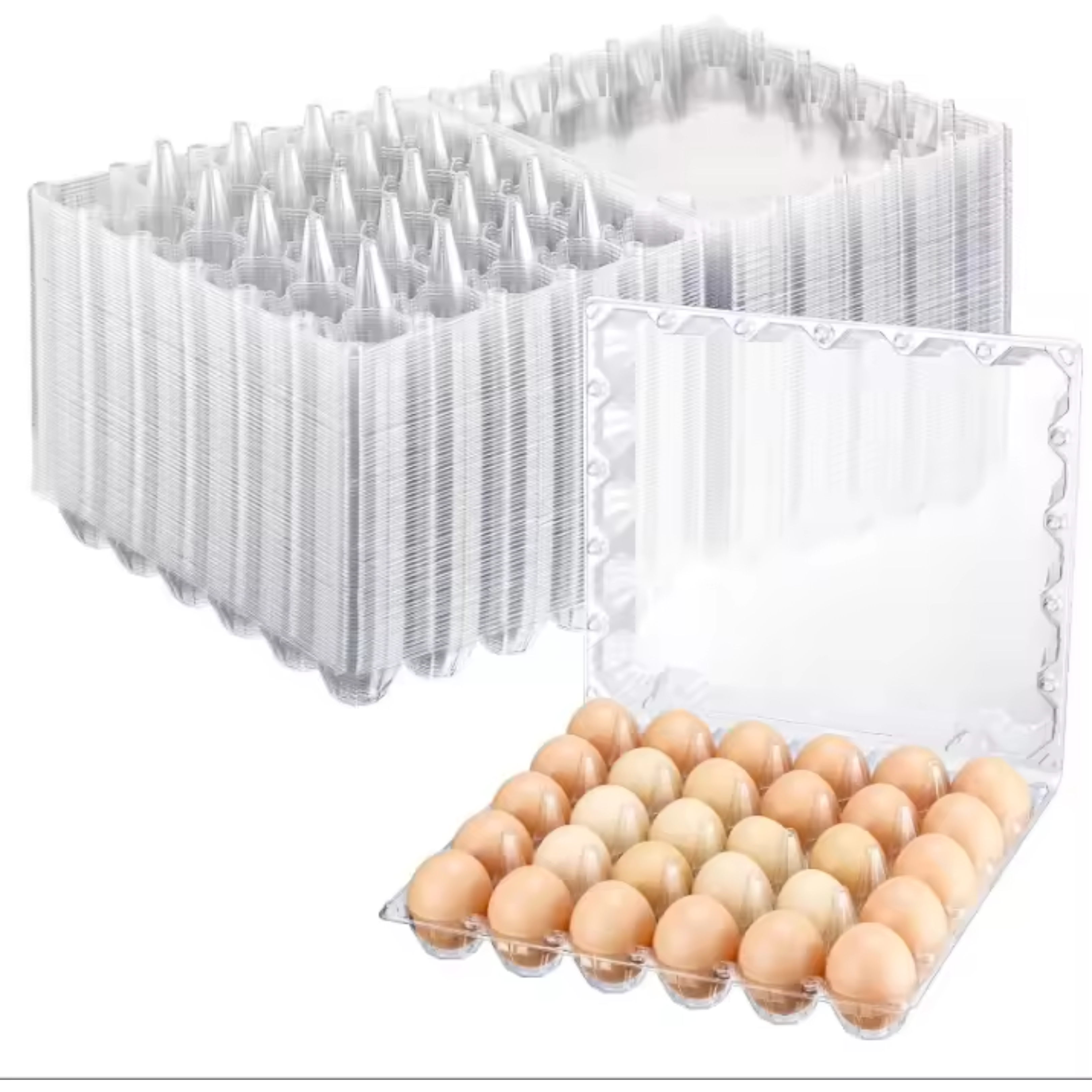 Egg Tray